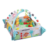 5 in 1 Activity Gym & Ball Pit