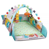 5 in 1 Activity Gym & Ball Pit