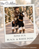 Pony Fun Mechanical Ride-On Toy: Size 3 Small (3 to 6 years)