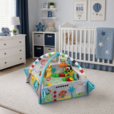 5 in 1 Activity Gym & Ball Pit